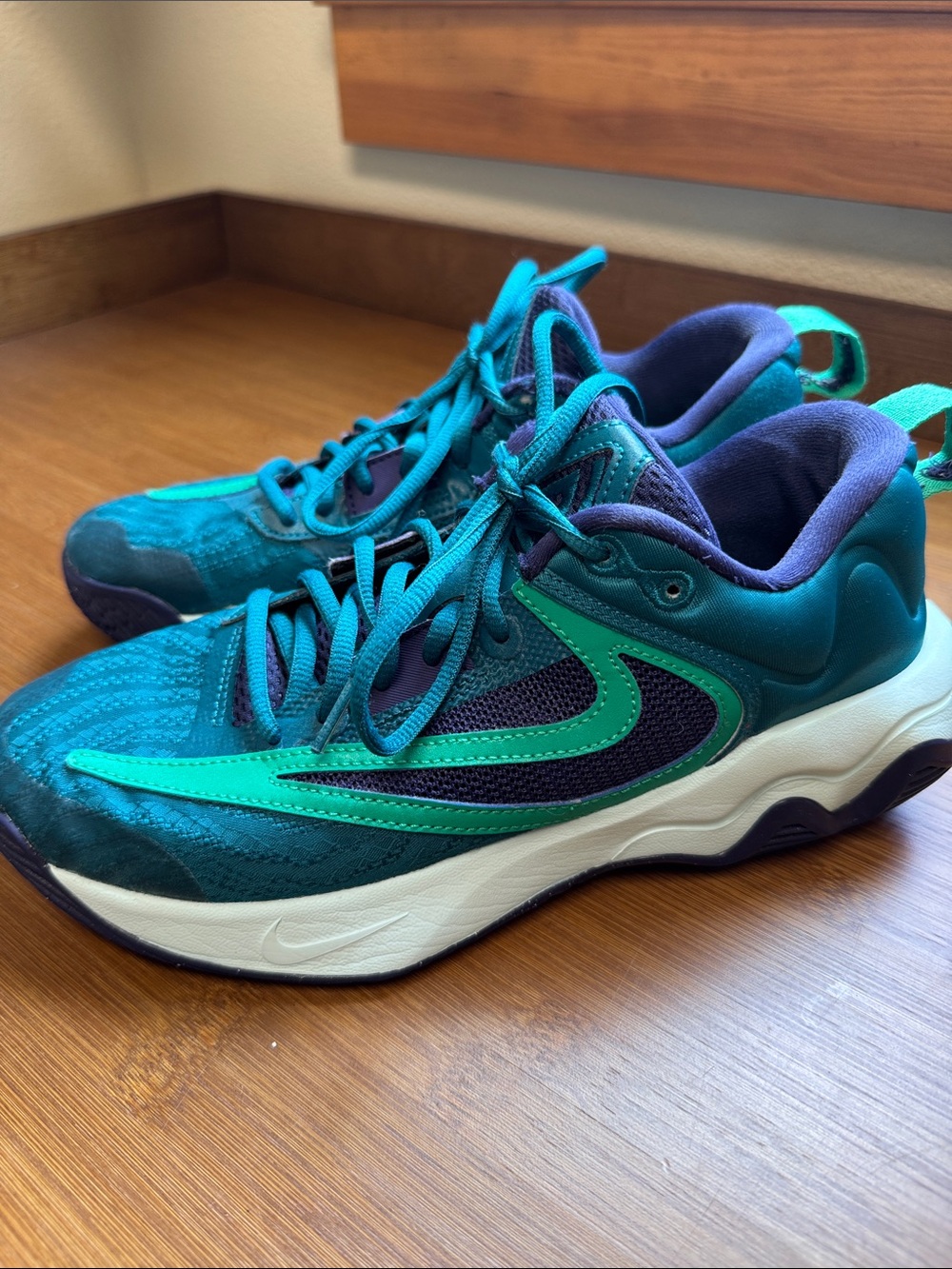 Nike Teal, Blue, Purple Men's Athletic Running Shoes